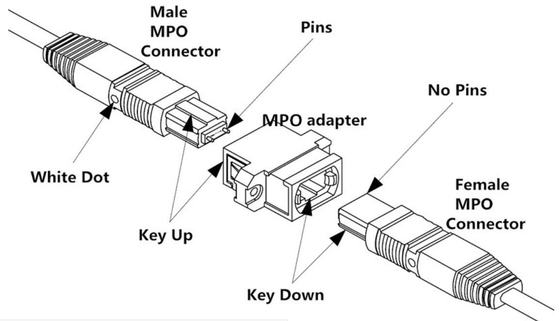 Des Verbindungsstück-Verbindungskabel-12 der Faser-MPO Kabel OM3/OM4 MPO Stamm-des Kabel-8/12/24F MTP MPO
